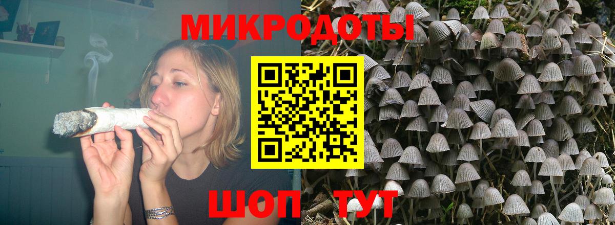 Псилоцибиновые грибы мицелий Саров