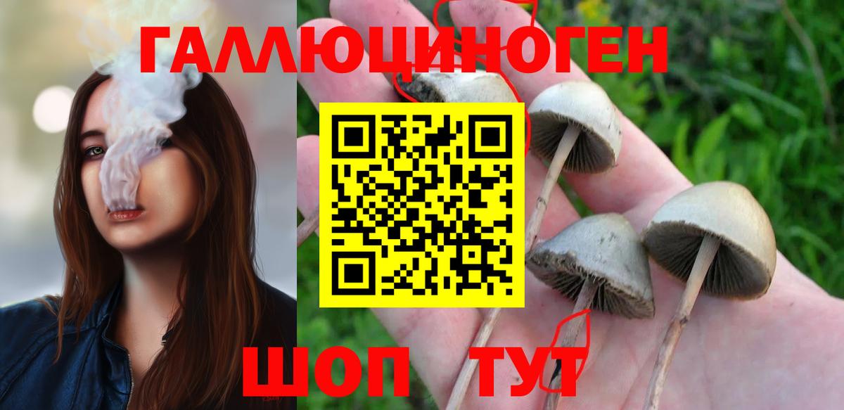 Саров  Галлюциногенные грибы мухоморы  Вход с VPN 